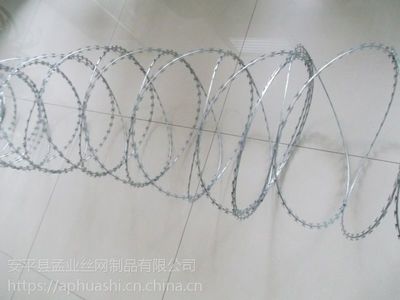 河北衡水刀片刺绳护栏网 安全防护的坚固屏障